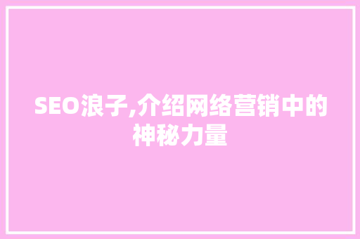 SEO浪子,介绍网络营销中的神秘力量