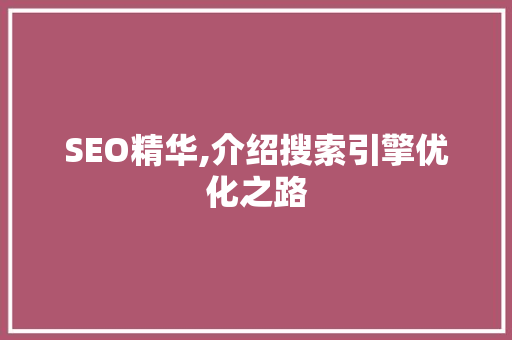 SEO精华,介绍搜索引擎优化之路