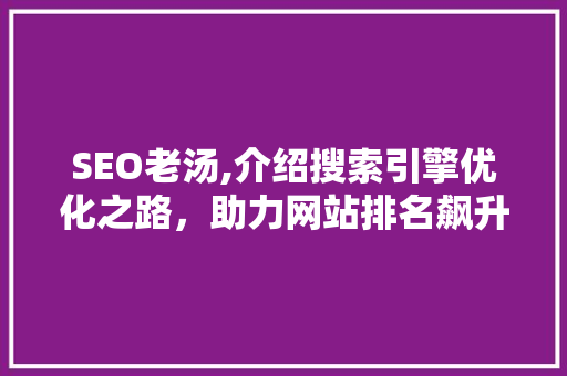SEO老汤,介绍搜索引擎优化之路，助力网站排名飙升