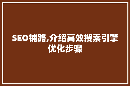 SEO铺路,介绍高效搜索引擎优化步骤