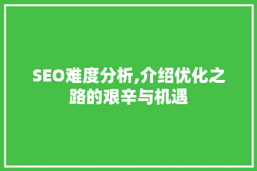 SEO难度分析,介绍优化之路的艰辛与机遇