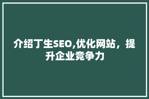 介绍丁生SEO,优化网站，提升企业竞争力