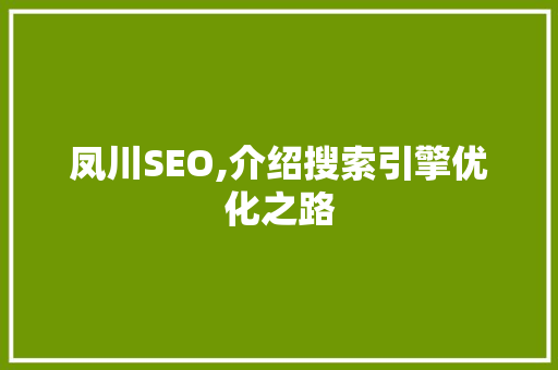 凤川SEO,介绍搜索引擎优化之路