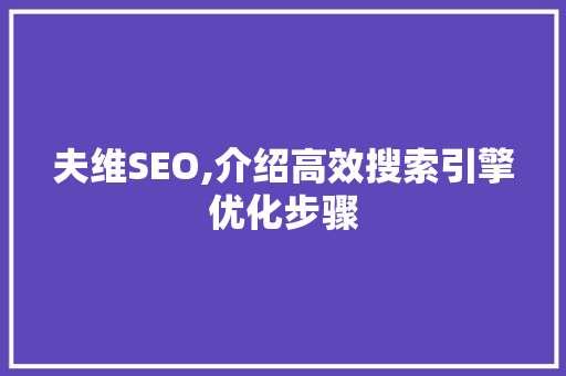 夫维SEO,介绍高效搜索引擎优化步骤 电脑基础