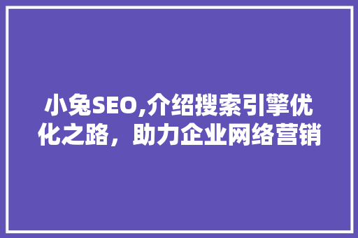 小兔SEO,介绍搜索引擎优化之路，助力企业网络营销