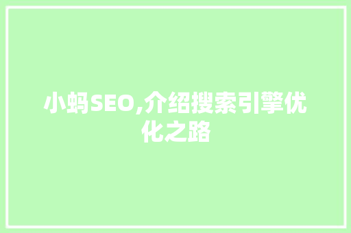 小蚂SEO,介绍搜索引擎优化之路