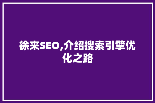 徐来SEO,介绍搜索引擎优化之路