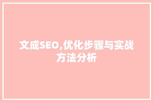 文成SEO,优化步骤与实战方法分析