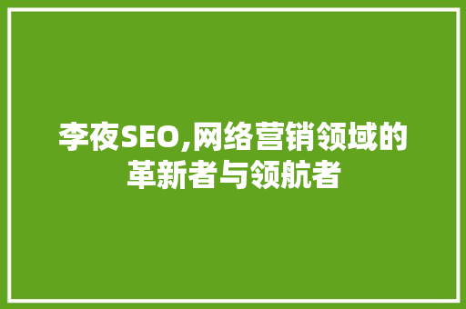 李夜SEO,网络营销领域的革新者与领航者