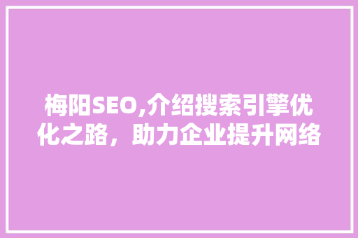 梅阳SEO,介绍搜索引擎优化之路，助力企业提升网络竞争力
