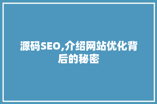 源码SEO,介绍网站优化背后的秘密