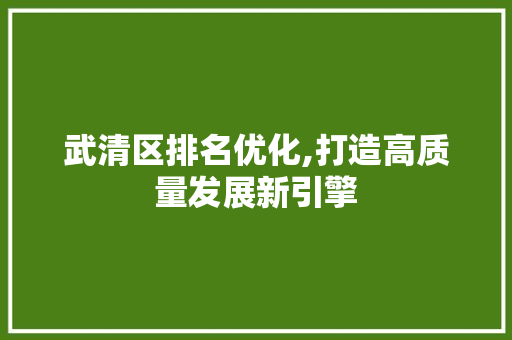 武清区排名优化,打造高质量发展新引擎