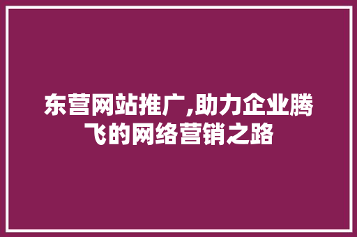 东营网站推广,助力企业腾飞的网络营销之路 东营网站推广,助力企业腾飞的网络营销之路