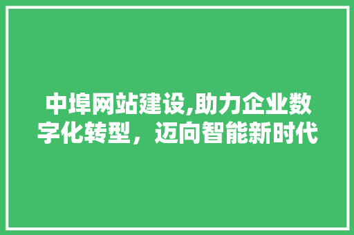 中埠网站建设,助力企业数字化转型,迈向智能新时代 中埠网站建设,助力企业数字化转型,迈向智能新时代