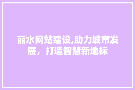 丽水网站建设,助力城市发展,打造智慧新地标 丽水网站建设,助力城市发展,打造智慧新地标