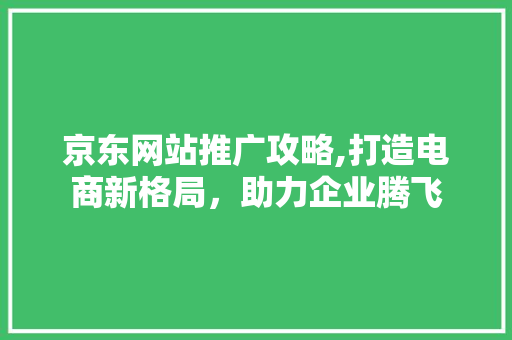 京东网站推广攻略,打造电商新格局，助力企业腾飞