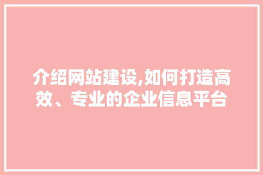 介绍网站建设,如何打造高效、专业的企业信息平台