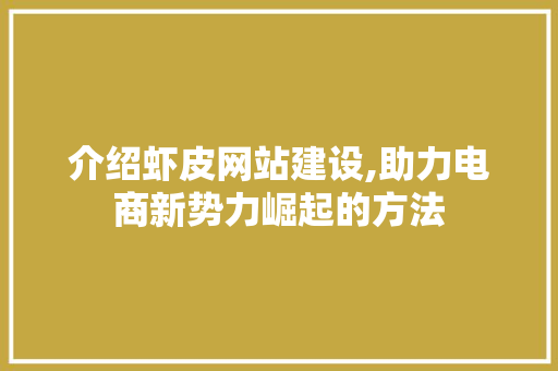 介绍虾皮网站建设,助力电商新势力崛起的方法