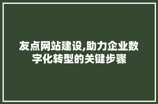 友点网站建设,助力企业数字化转型的关键步骤