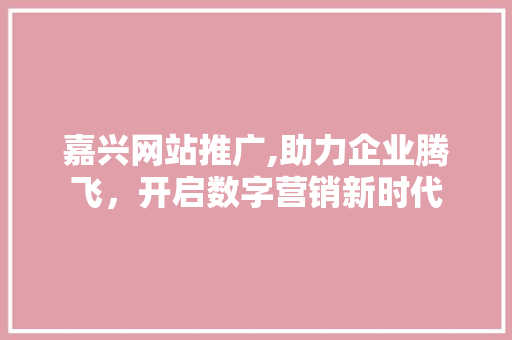 嘉兴网站推广,助力企业腾飞，开启数字营销新时代