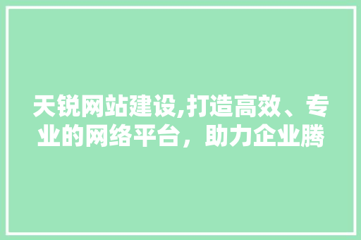 天锐网站建设,打造高效、专业的网络平台，助力企业腾飞