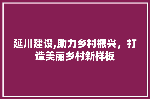 延川建设,助力乡村振兴，打造美丽乡村新样板 编程语言