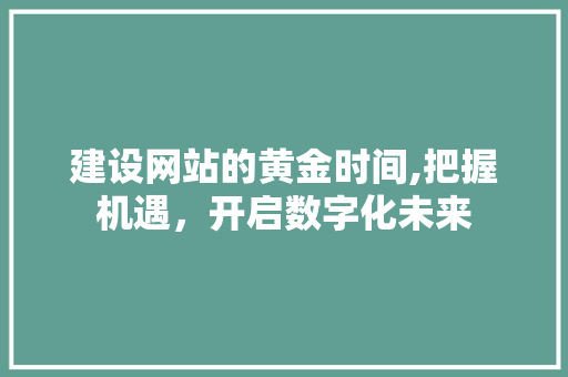 建设网站的黄金时间,把握机遇，开启数字化未来