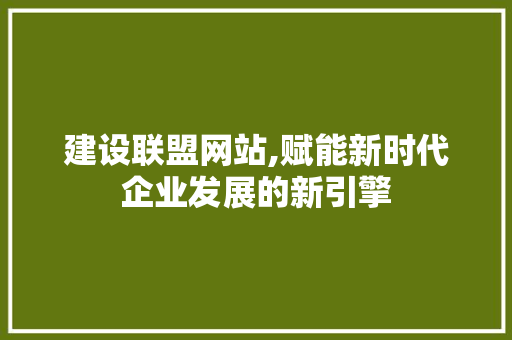 建设联盟网站,赋能新时代企业发展的新引擎 电脑基础