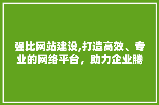 强比网站建设,打造高效、专业的网络平台,助力企业腾飞 强比网站建设,打造高效、专业的网络平台,助力企业腾飞