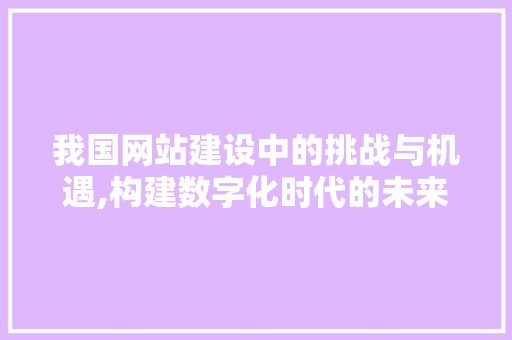 我国网站建设中的挑战与机遇,构建数字化时代的未来 我国网站建设中的挑战与机遇,构建数字化时代的未来