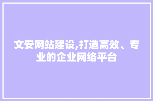 文安网站建设,打造高效、专业的企业网络平台