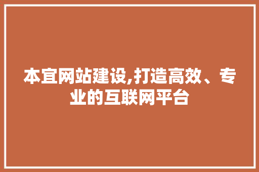 本宜网站建设,打造高效、专业的互联网平台