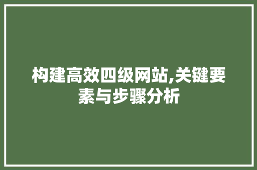构建高效四级网站,关键要素与步骤分析