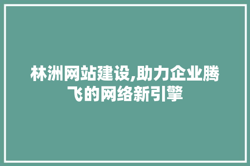 林洲网站建设,助力企业腾飞的网络新引擎