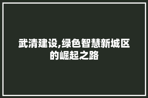 武清建设,绿色智慧新城区的崛起之路