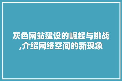 灰色网站建设的崛起与挑战,介绍网络空间的新现象 灰色网站建设的崛起与挑战,介绍网络空间的新现象