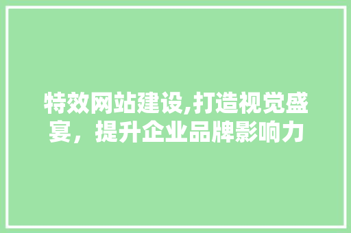 特效网站建设,打造视觉盛宴，提升企业品牌影响力