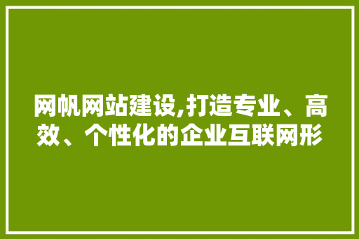 网帆网站建设,打造专业、高效、个性化的企业互联网形象