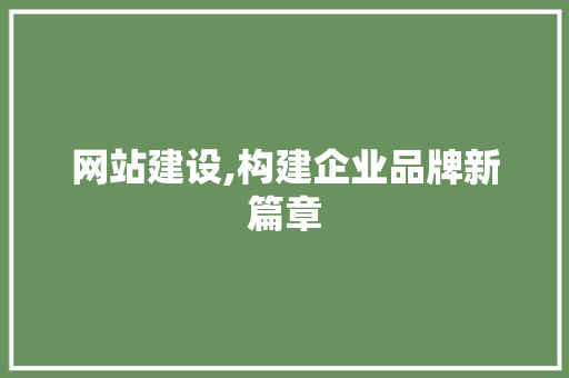 网站建设,构建企业品牌新篇章