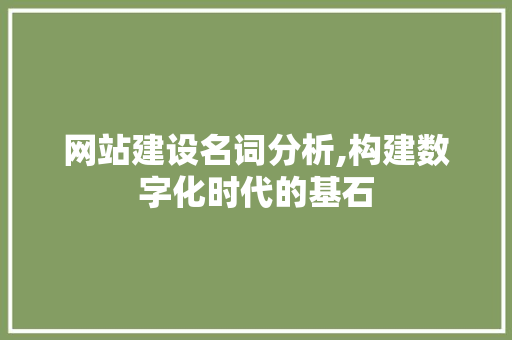 网站建设名词分析,构建数字化时代的基石