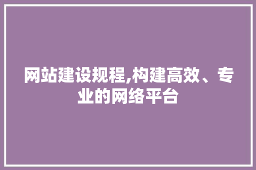 网站建设规程,构建高效、专业的网络平台