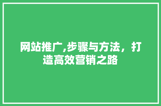 网站推广,步骤与方法,打造高效营销之路 网站推广,步骤与方法,打造高效营销之路