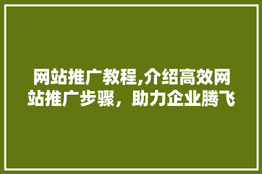 网站推广教程,介绍高效网站推广步骤,助力企业腾飞 网站推广教程,介绍高效网站推广步骤,助力企业腾飞