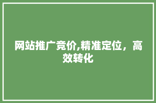 网站推广竞价,精准定位,高效转化 网站推广竞价,精准定位,高效转化