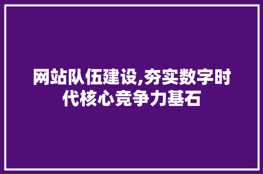 网站队伍建设,夯实数字时代核心竞争力基石