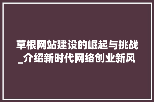 草根网站建设的崛起与挑战_介绍新时代网络创业新风口