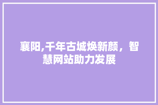 襄阳,千年古城焕新颜，智慧网站助力发展