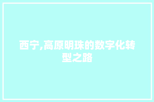 西宁,高原明珠的数字化转型之路