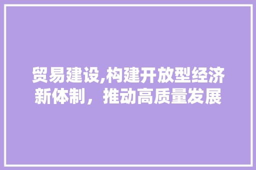 贸易建设,构建开放型经济新体制，推动高质量发展