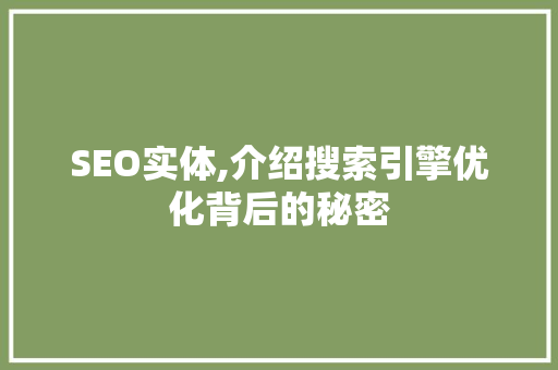 SEO实体,介绍搜索引擎优化背后的秘密 操作系统